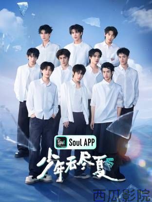少年无尽夏
