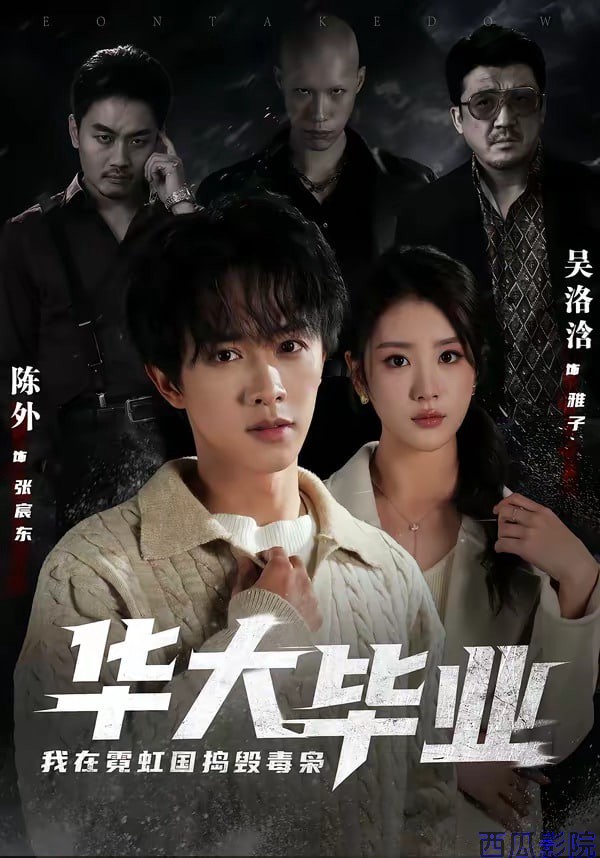 华大毕业，我在霓虹国捣毁毒枭